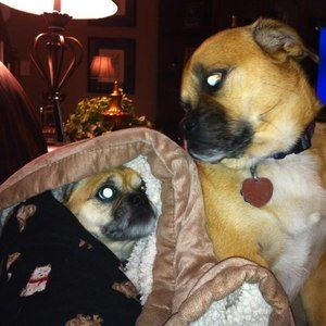 Meet your Posher, Becky